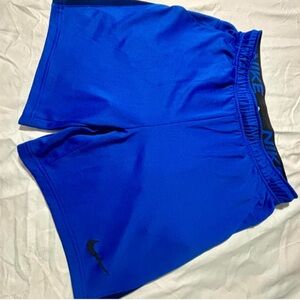 Nike Royal Blue Training Shorts